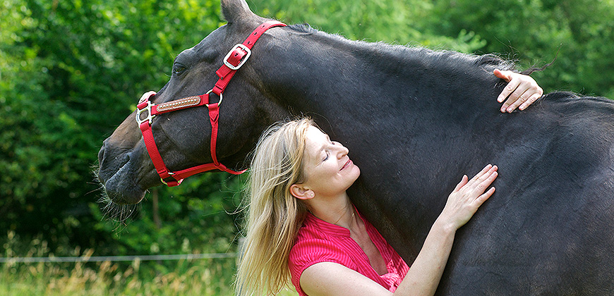 Behandlung am Pferd